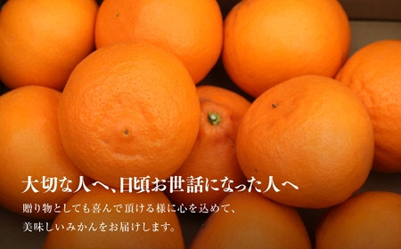 【三つ星ブランド】星乃せとか(3kg)【D45-93】【1625776】