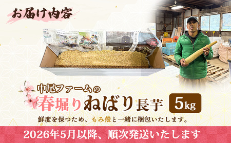 ※先行予約開始 【春堀り】中尾ファームのねばり長芋 5kg【34003】