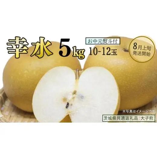 【 お中元 熨斗付き 】 幸水 約5kg (10～12玉)【2026年8月上旬発送開始】(茨城県共通返礼品：大子町)