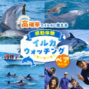 【ふるさと納税】南島原 イルカウォッチング ペア チケット / イルカ 観光 体験 / 南島原市 / 南島原イルカウォッチング [SAE001]