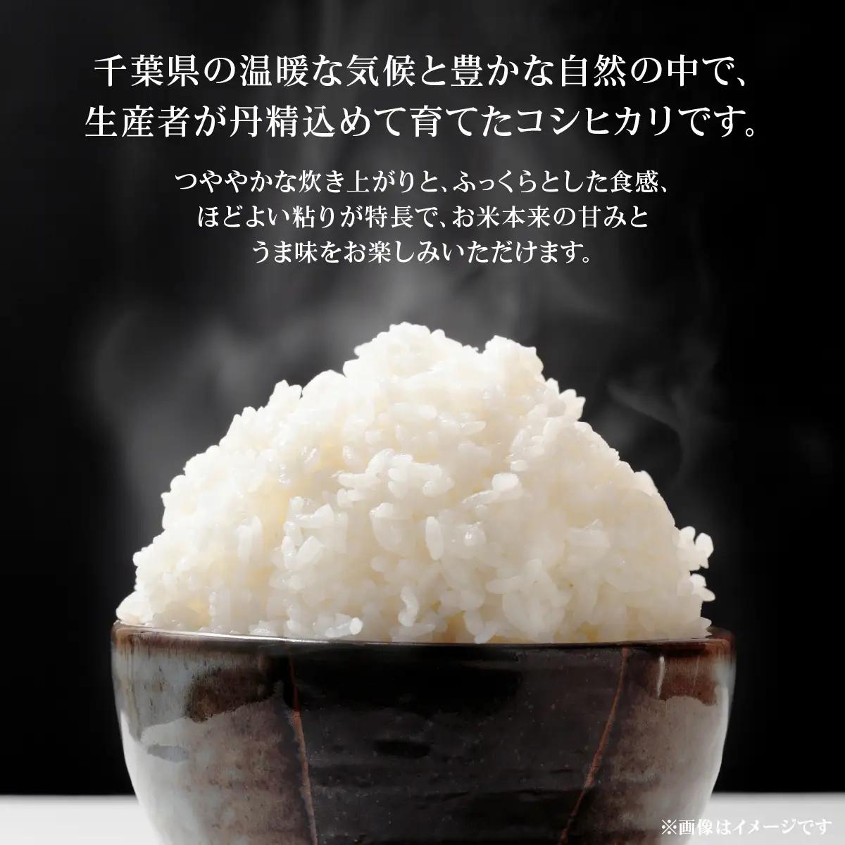 【先行予約・9月より順次配送】令和8年産 千葉県産 コシヒカリ 精米10kg mt207671_011001