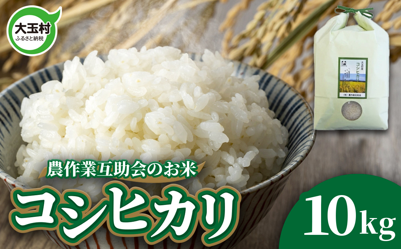 
米 10kg コシヒカリ 令和6年 新米 ｜ 福島県 大玉村 農作業互助会 白米 こめ コメ ごはん 米作り 精米 令和6年産 2024年産 ｜ gj-kh10-R6
