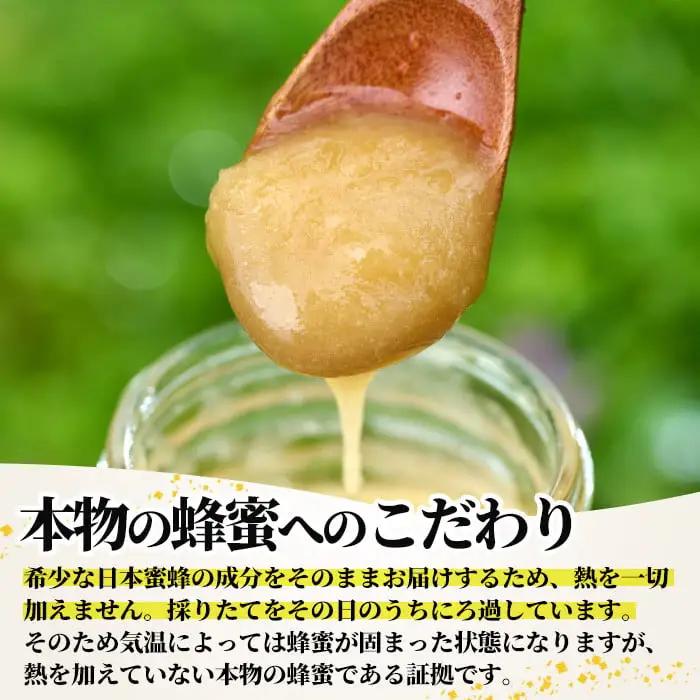 ＜数量限定＞幻の蜂蜜（1本・260g） ハチミツ  国産  非加熱  【YH-1】【安田蜂蜜】