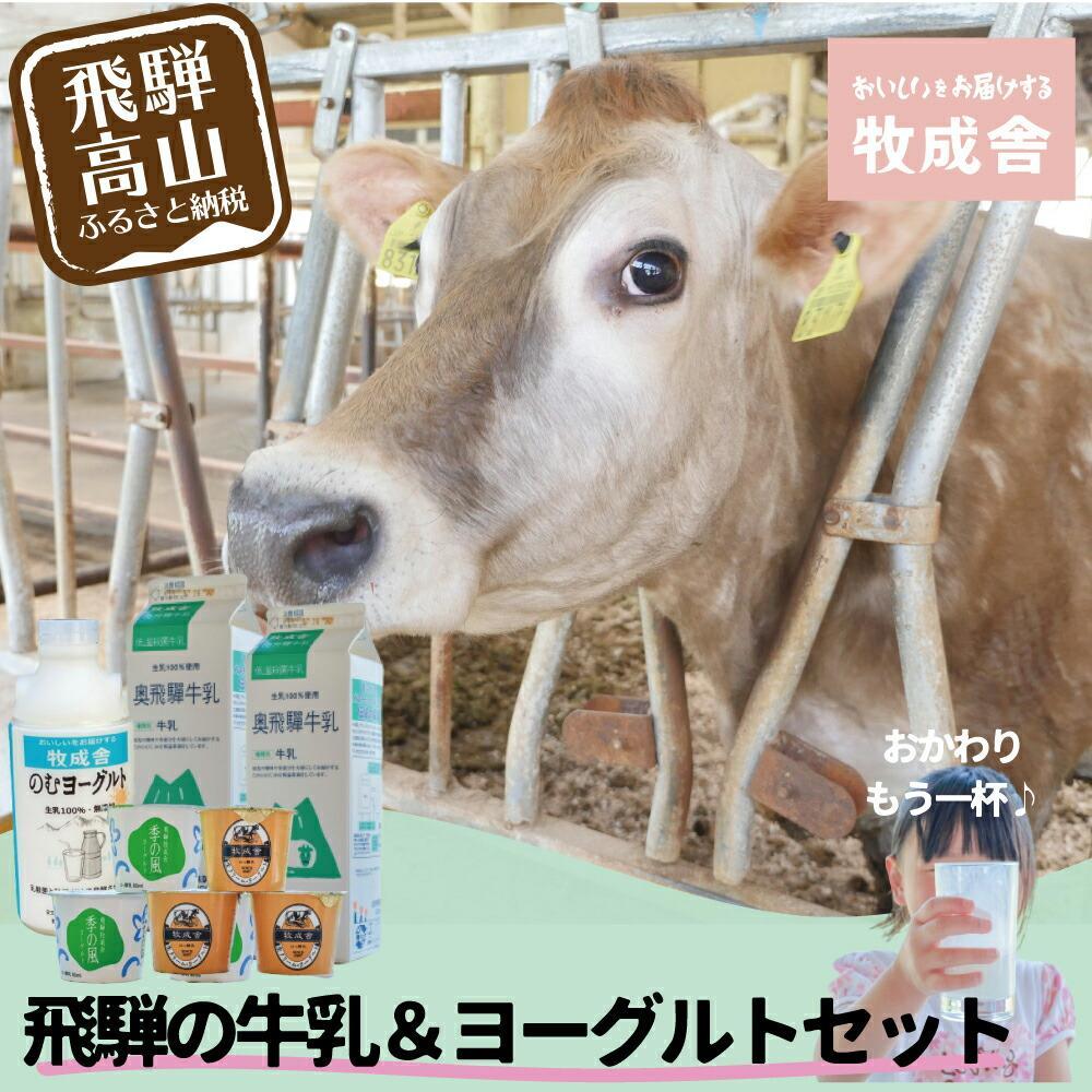 【ふるさと納税】＜牧成舎＞飛騨の牛乳屋のこだわり 牛乳＆ヨーグルト 4種セット | 飲むヨーグルト 生乳 乳製品 自社牧場 低温殺菌 生クリーム 飛騨 詰め合わせ まとめ買い セット 飲料 お取り寄せ 飛騨高山 牧成舎 DF016VP