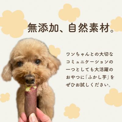 ふるさと納税 茨城町 ペット用蒸かし芋4kg(紅はるか)ペットのおやつ |  | 03