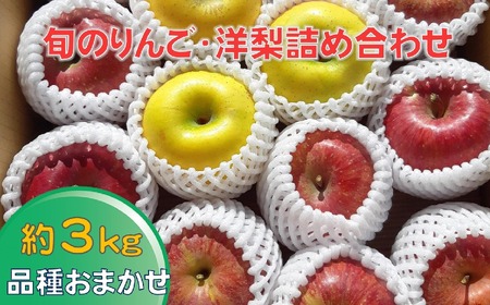 【先行予約】旬のりんご・洋梨セット 約3kg 品種おまかせ
