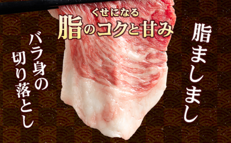 【訳あり】佐賀牛入り 牛切り落とし1.5㎏（500g×3p）