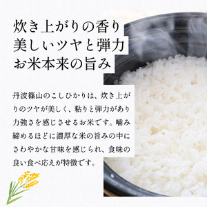 【令和7年産　新米予約　2025年9月より順次発送】丹波篠山産 コシヒカリ 10kg 白米 兵庫県 丹波篠山市 白米 単一原料米 産地直送米 贈答 おいしい お米 精米 コシヒカリ ブランド おこめ 