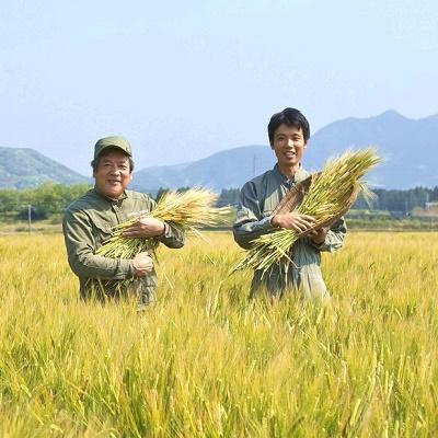 ふるさと納税 南九州市 川辺味噌1kg×5袋セット |  | 02
