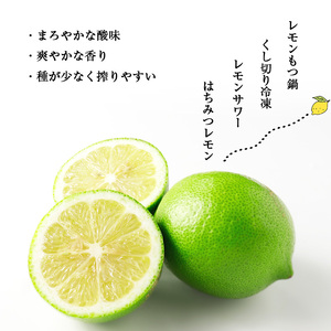 M569【里山レモンの会】宮若市特産品 レモン 約3kg【りのか】