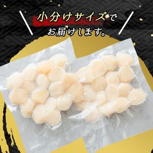 【毎月定期便】北海道産の帆立貝柱を刺身用の小分けに「ホタテ貝柱」約250g×2コ全6回【配送不可地域：離島】【4057828】