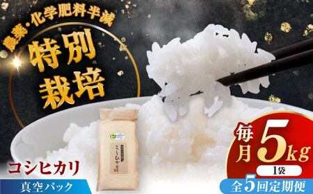 【全5回定期便】令和7年産 ななしま家 コシヒカリ 5kg / 白米 特別栽培 白米 / 佐賀県 / 有限会社七島農産 [41AHAC007]