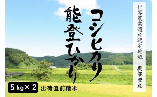 
                  【復興支援】【令和7年産】奥能登人気銘柄2種コシヒカリ5kg・能登ひかり5kgの食べ比べ（計10kg）【精米】
                