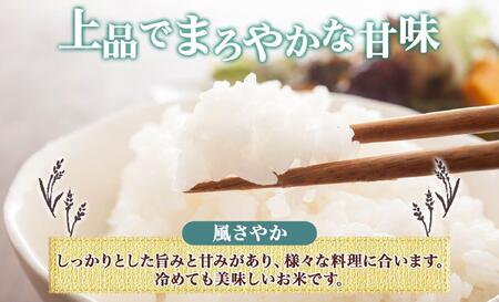<先行予約>令和7年産 コシヒカリ 風さやか 無洗米 各5kg 長野県産 米 白米 精米 お米 ごはん ライス 甘み 農家直送 産直 信州 人気 ギフト 時短 お取り寄せ 平林農園 送料無料 長野県