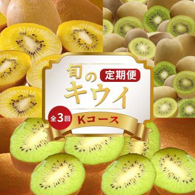 ふるさと納税 丸亀市 【発送月固定定期便】フルーツ定期便 Kコース(ゴールドキウイ キウイっこ 香緑キウイ)全3回
