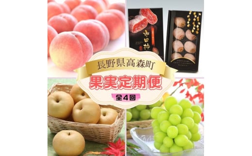 【南信州産果実定期便】あかつき・シャインマスカット・南水・市田柿 長野県 信州 高森町 果物 くだもの フルーツ 桃 もも ぶどう 梨 なし 柿 干し柿 旬の果実 JAみなみ信州