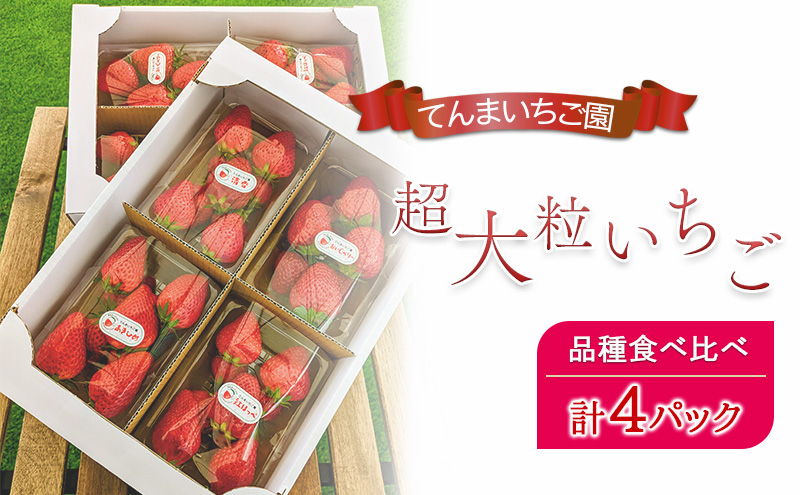 
            【予約受付】てんまいちご園　超大粒いちご 4パックセット　品種食べ比べボックス　いちご イチゴ 食べ比べ 超大粒 大粒 兵庫県 稲美町 果物類 苺	
          