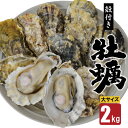 【ふるさと納税】【期間限定発送】【数量限定！】雲仙産 牡蠣 大サイズ 2kg 加熱用・殻付き [ふるさと企画 長崎県 雲仙市 item2009] カキ かき 殻付 2キロ 冷蔵 カンカン焼き 季節限定