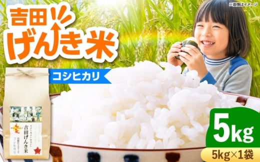 お米 吉田げんき米コシヒカリ 5kg こしひかり コシヒカリ げんき 米 こめ おこめ はくまい 白米 精米 コメ キロ 使いやすい ごはん ご飯 おにぎり お弁当 朝ごはん 便利 朝食 食卓 主食 グルメ おいしい ふっくら もちもち 食感 国産 新生活 一人暮らし 家族 ご当地 おうちごはん ごはんソムリエ おすすめ 人気  島根県雲南市/有限会社藤本米穀店  [AIDB117]