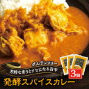 【ふるさと納税】発酵スパイスカレー3個 ★5種のスパイスと白山麓のW発酵 芳醇な香り&クセになる旨辛 グルテンフリー【配送不可地域：離島】【1376651】