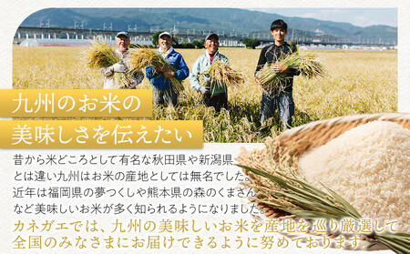 【定期便全3回】【令和7年産新米予約】【食味鑑定士厳選】福岡県産 夢つくし15kg (5kg×3袋) 合計 45kg