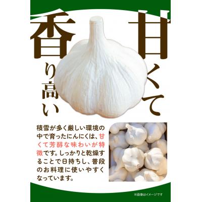 ふるさと納税 当別町 【令和8年発送先行受付】にんにく(福地ホワイト六片種)1kg |  | 02