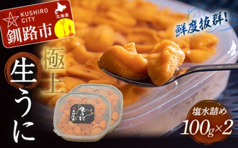 生うに塩水詰め100g×2【鮮度抜群！極上生えぞバフンうに】 ふるさと納税 うに F4F-3212