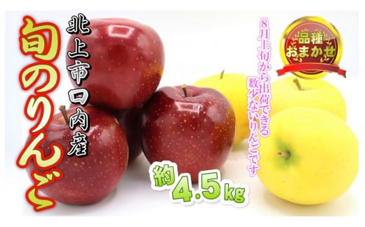 予約受付 8月上旬～発送予定　【 品種おまかせ 】りんご 約 4.5kg セット 北上市/口内産 りんご 果物 フルーツ おやつ お土産 お歳暮 お中元 お祝い 子供 ファミリー 家庭 金成園 岩手県 北上市 C0063