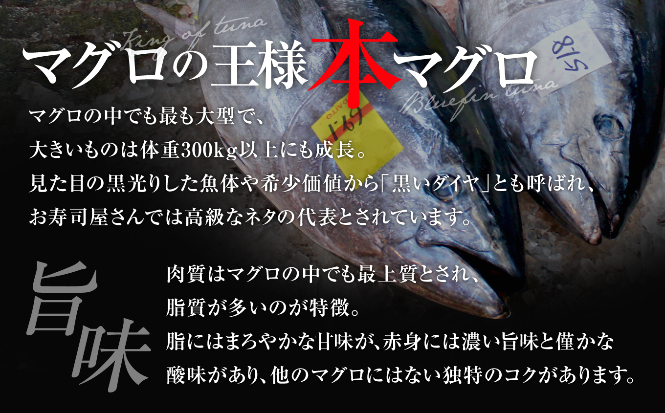 本マグロ訳あり中トロ1kg　解凍レシピ付　本マグロのトロ食べ放題！