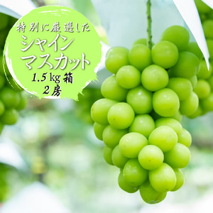 ふるさと納税のために特別に選別した シャインマスカット 約1.5kg 2房【2025年発送】（WDN）B17-900 【シャインマスカット 葡萄 ぶどう ブドウ 令和7年発送 期間限定 山梨県産 甲州市 フルーツ 果物】