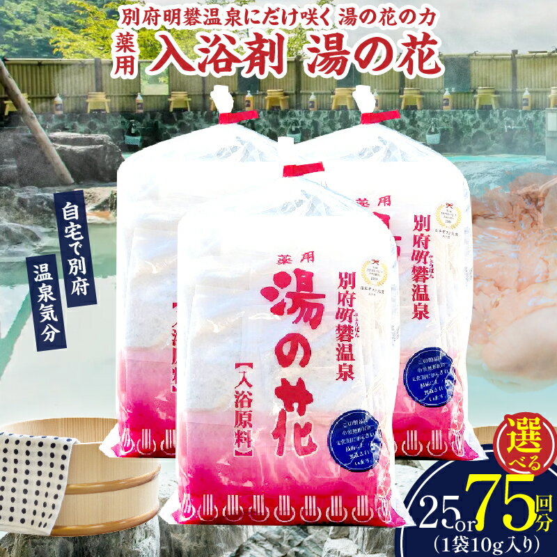 【ふるさと納税】≪選べる内容量≫ 薬用 湯の花 入浴剤 日用品 雑貨 バス用品 バスパウダー お風呂 小分け ティーバッグ おすそ分け 明礬温泉 天然温泉 バスタイム リラックス 癒し おすすめ 温泉気分 冷え性 国の重要無形民俗文化財 お取り寄せ 国産 大分県 別府市 送料無料