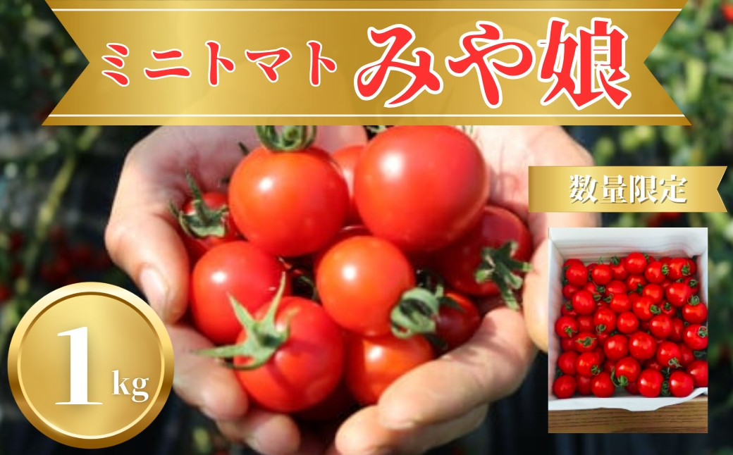 
                  ミニトマト 1kg トマト とまと フルーツ トマト 完熟 甘い 野菜 やさい プチ 旬 国産 産地直送 とも農園 奈良県 奈良市
                