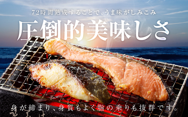 厳選 西京漬けセット 銀鱈／銀鮭 合計 12切れ 切り落とし 訳あり サイズ不揃い G1332