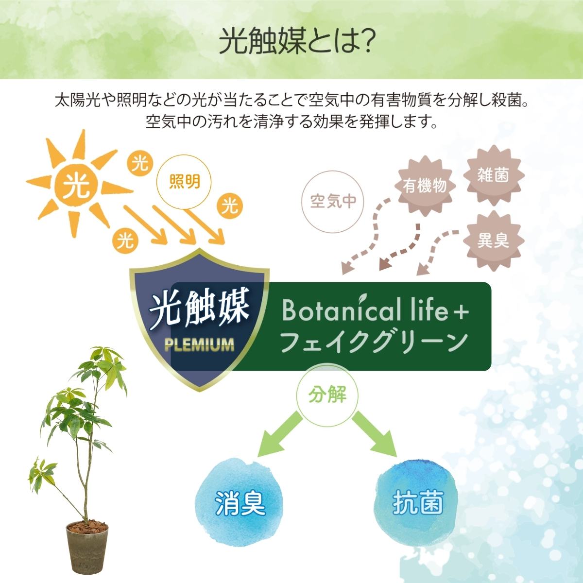 フェイクグリーン Botanical life+ Dシリーズ オリーブ 光触媒加工 鉢付き （鉢： ナチュラルカラー グレー  ） インテリア 抗菌 消臭 愛知県 豊橋市 送料無料 52000円