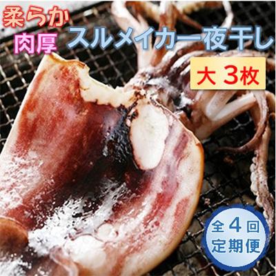 ふるさと納税 宮津市 【3ヵ月毎定期便】日本海産　柔らか肉厚のスルメイカ一夜干し(大)3枚全4回
