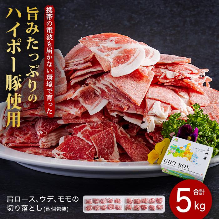 【ふるさと納税】山口県産豚切り落とし5kgセット│携帯の電波も届かない環境で育った旨みたっぷりのハイポー豚 | 肉 お肉 にく 食品 人気 おすすめ 送料無料 ギフト