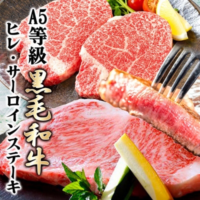 
                  鹿児島県産A5等級黒毛和牛ステーキ(ヒレ・サーロイン) DZ906_ 肉 牛肉 ヒレステーキ サーロインステーキ A5 【1783334】
                