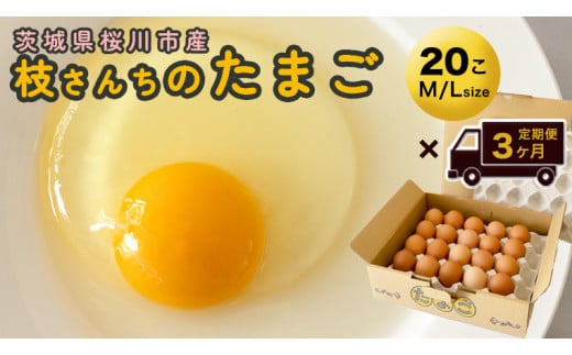 
【3ヶ月定期便】枝さんち の たまご 20個×3回 合計60個 定期便 産地直送 たまご 玉子 生卵 鶏卵 タマゴ 平飼い 桜川市産 茨城県産 [BT004sa]
