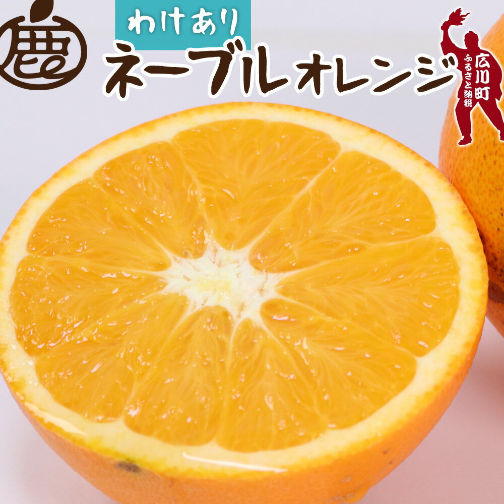【ふるさと納税】 ネーブル オレンジ 訳あり 光センサー 選果 / 家庭用 甘い 和歌山 柑橘 1kg 5kg 10kg ※2月中旬〜3月中旬頃に順次発送予定 ※北海道・沖縄・離島への配送不可 //dekopon