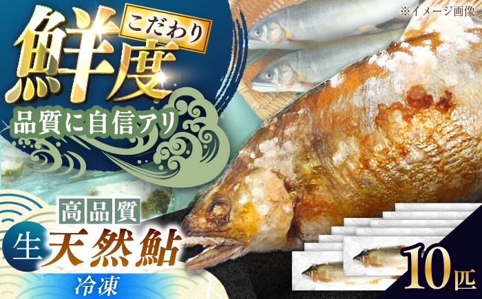 
                  ＜冷凍＞清流 付知川産 天然あゆ 18～20cm 10匹入り / 天然あゆ 冷凍 清流付知川産 鮎 アユ 魚介 川魚 冷凍 付知川 海鮮 高級魚 鮎 天然 天然鮎 魚料理 塩焼き 煮付け 季節の味覚 贈り物 鮮度の良い 産地直送 あゆの里 お取り寄せ 贈答 ギフト 岐阜県 / 恵那市 / 恵那物産館 [AUFS008]
                