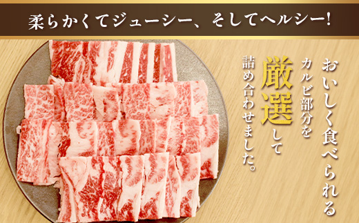 くまもとあか牛 カルビ 焼肉用 計500g カルビ 焼肉用 計500g 熊本県 ブランド牛 肉 ヘルシー 赤身 牛肉 焼き肉 やきにく やき肉 BBQ 炒め物 ごちそう 肉 国産 ジューシー カルビ 