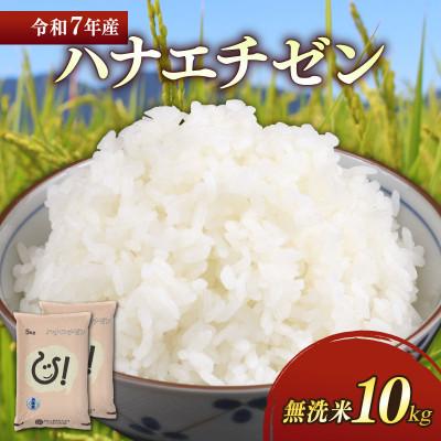 ふるさと納税 彦根市 令和7年産新米ハナエチゼン白米無洗米10kg(5kg×2袋) 噛むたびに広がる甘み