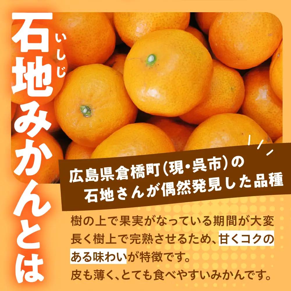 先行受付 2026年12月～発送 石地みかん 家庭用5kg 広島県呉市