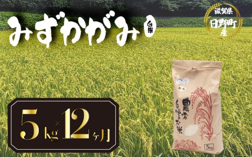 【 令和8年産 米 5kg 定期便 12ヶ月 】 みずかがみ 米 白米 国産 滋賀県 日野町 農家直送 お米 おこめ こめ 産地直送 ふるさと納税