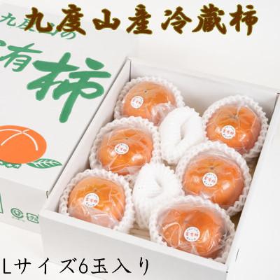 ふるさと納税 すさみ町 【まごころ栽培】九度山の冷蔵富有柿Lサイズ6玉入り
