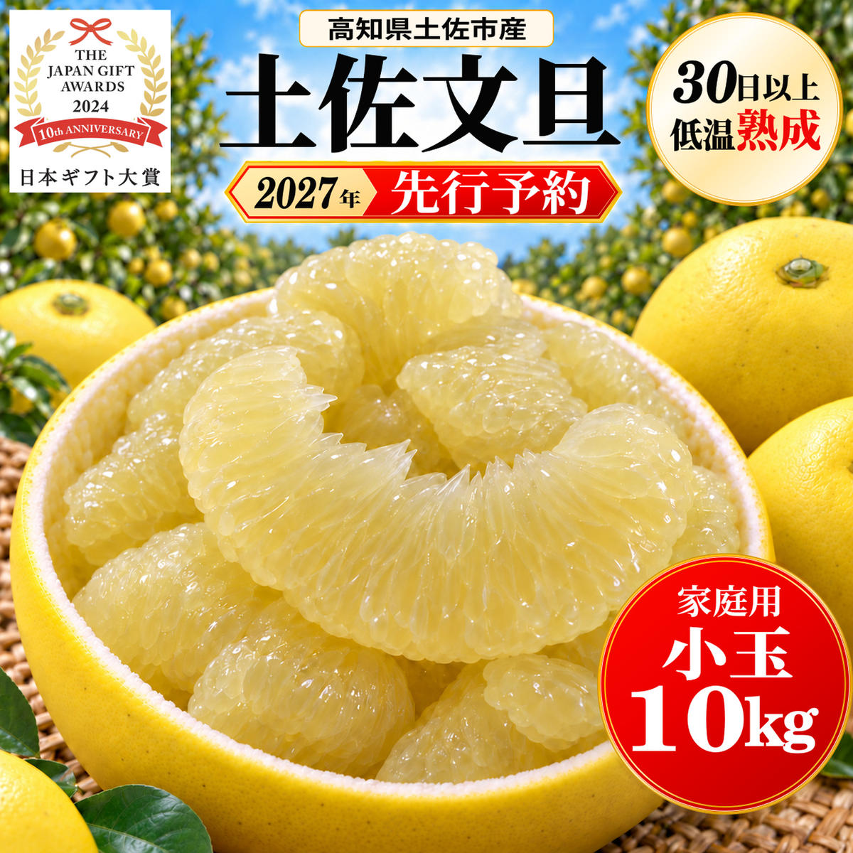 土佐文旦 小玉 10kg 家庭用 日本ギフト大賞受賞 文旦発祥の地 園主こだわり 食べ切りサイズ L～M 高知県土佐市産 高知県産 国産 10キロ ぶんたん ブンタン みかん 柑橘類 高級フルーツ 果物 産地直送 お取り寄せ ギフト 数量限定 季節限定 先行予約 やの一果彩[BQAC018]