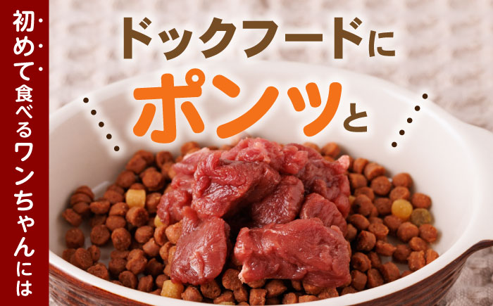 【全12回定期便】国内加工 ペット用 馬肉 切り落とし 合計24kg (1kg×2P) ドッグフード ペットフード 熊本【五右衛門フーズ】[YBZ016] 200000 200,000 200000円