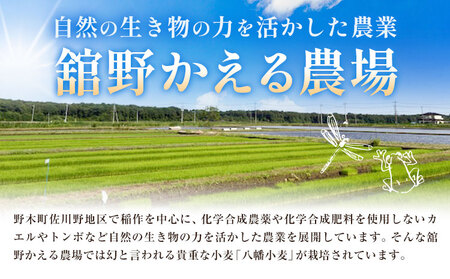 うどん かえるうどん 細麺 太麺 2種 8袋 野木町産小麦100％《30日以内に出荷予定(土日祝除く)》 宝咲屋 麺類 麺 栃木県 野木町