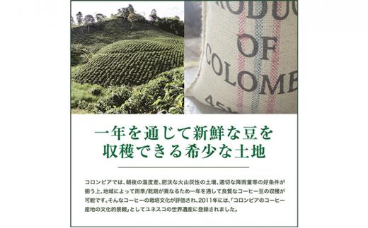 珈琲 スペシャルティーコーヒー豆【豆のまま】コロンビア エキセルソ Qグレード 600g