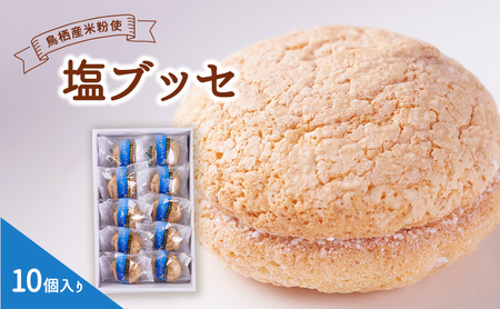 お菓子 鳥栖米 塩ブッセ お菓子【10個入】